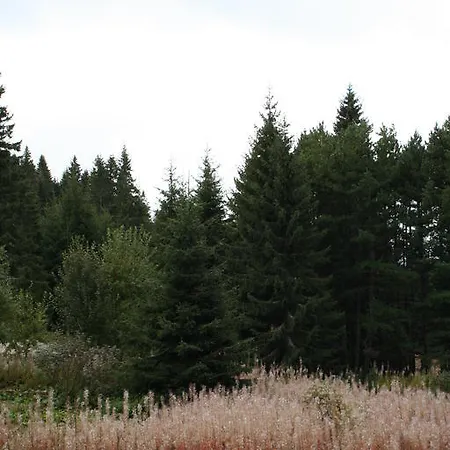 Sumska Kuca 2 & 3 Kopaonik