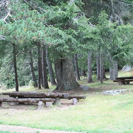 Sumska Kuca 2 & 3 コパオニク